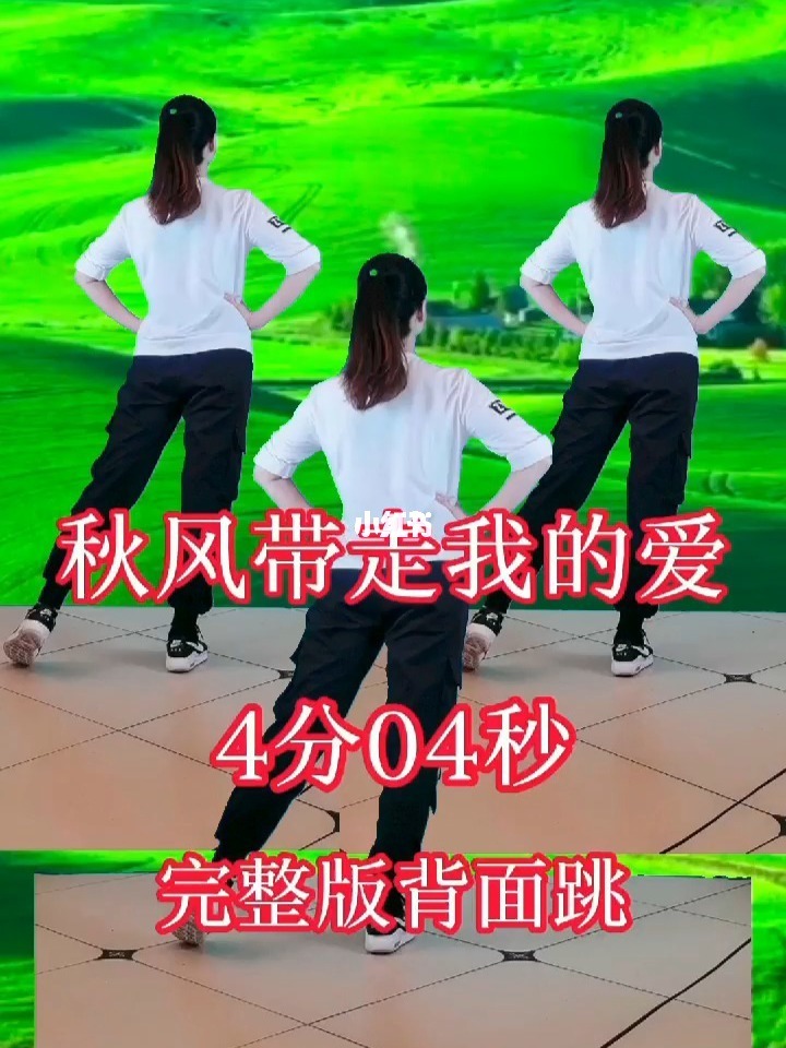 2010辽台春晚激光舞_舞秋风台_秋风无情广场舞