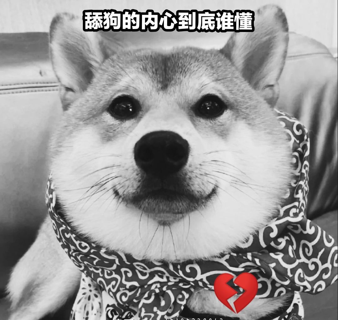 发舔狗表情包_舔狗的表情包用什么制作_舔狗表情包