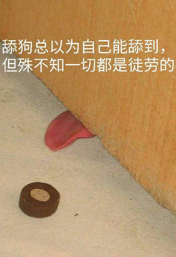 舔狗表情包_舔狗的表情包用什么制作_发舔狗表情包