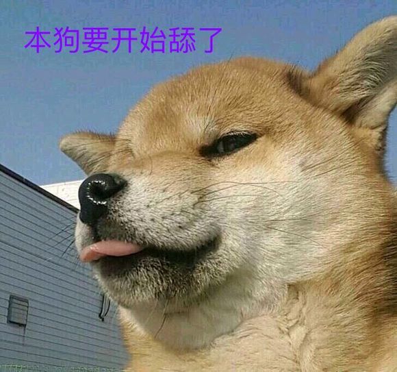 舔狗表情包_舔狗的表情包用什么制作_发舔狗表情包