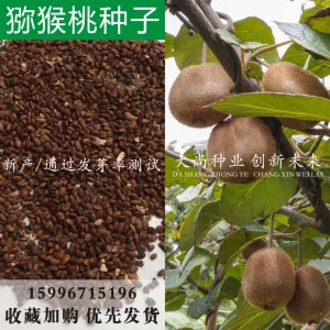 蚂蚁庄园今日答案汇总7.30_蚂蚁庄园今日答案独家_猕猴桃蚂蚁庄园今日答案
