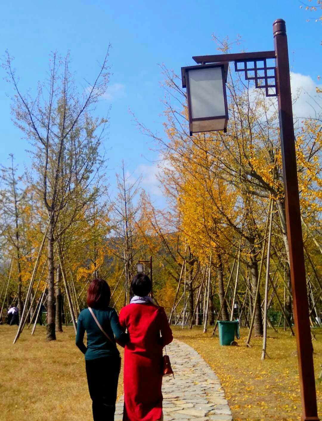 听我说你先别急什么梗_听我说你先别急什么梗_听我说你先别急什么梗