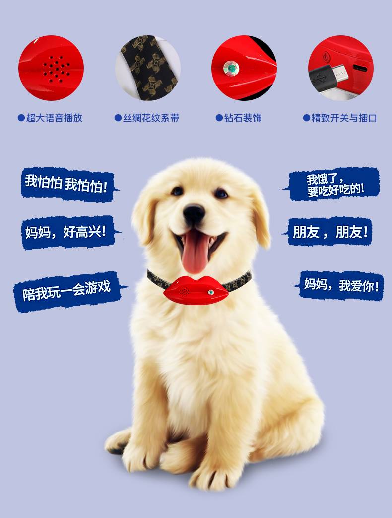 翻译狗语软件_翻译狗语音的软件_狗语翻译器下载