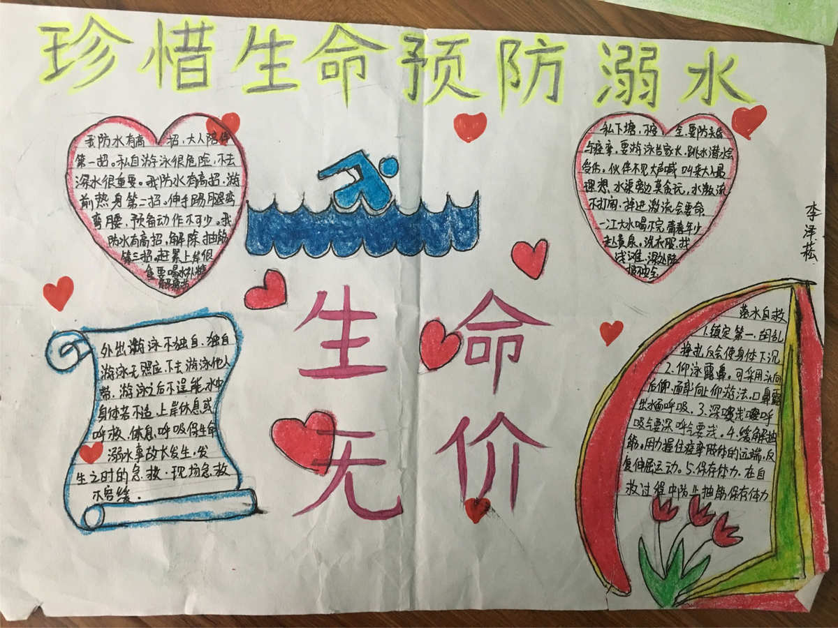 小小生命游戏_小小生命树_小小的生命