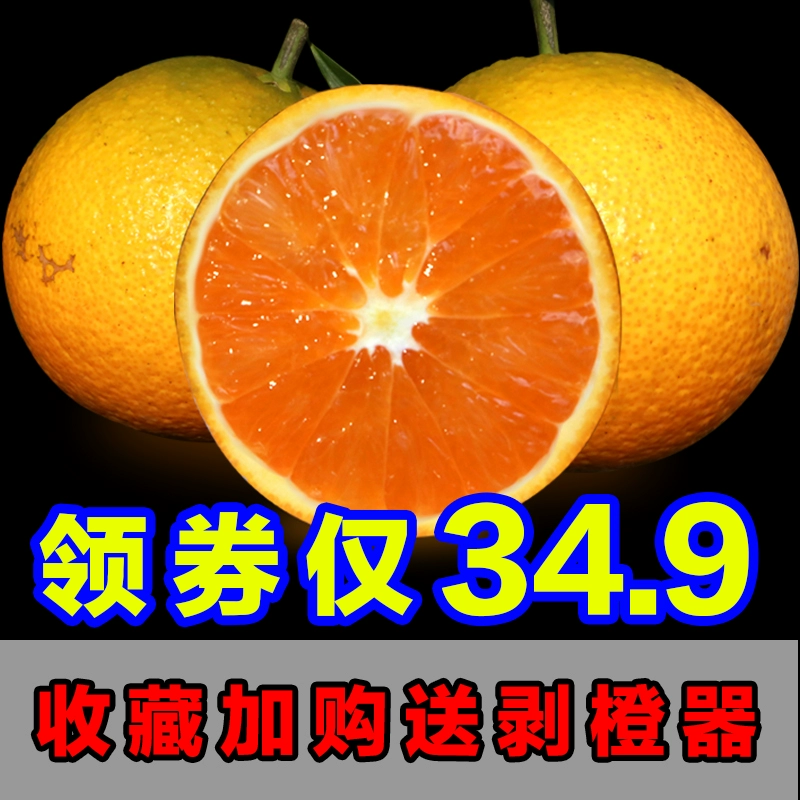 橙瓜官网：全新上线，畅享在线购物体验