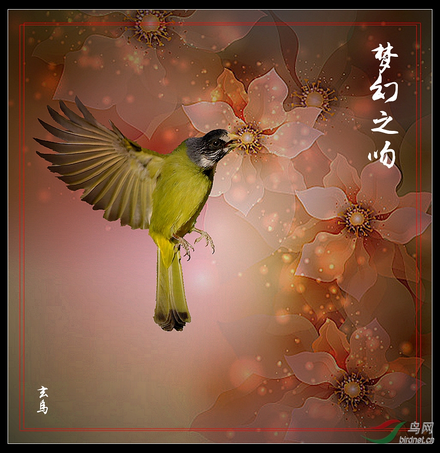 入内雀御魂_阴阳师入内雀道馆御魂_入雀内带什么御魂