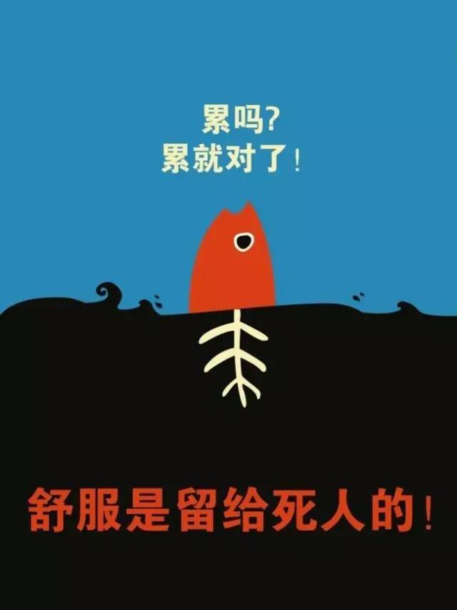闯关爱情_闯关爱丽丝_天天爱闯关