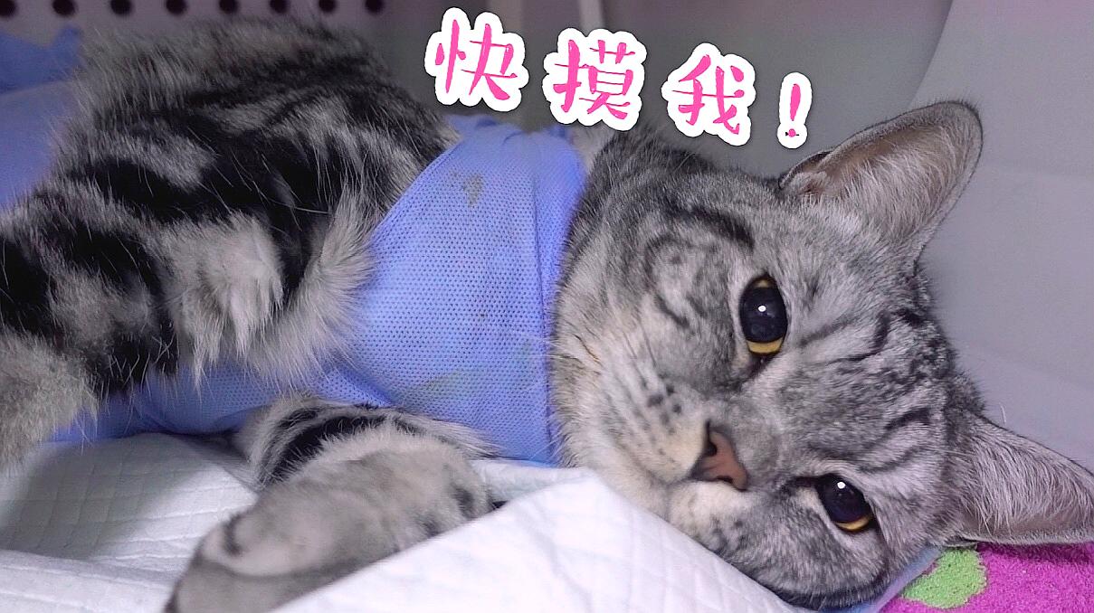 视频猫小美大哭喊救命_快猫小视频_视频猫小子