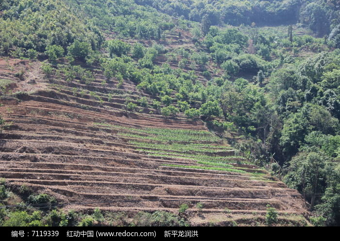 站坡_地铁大营坡站是几号线_长沙地铁4号线桐梓坡站