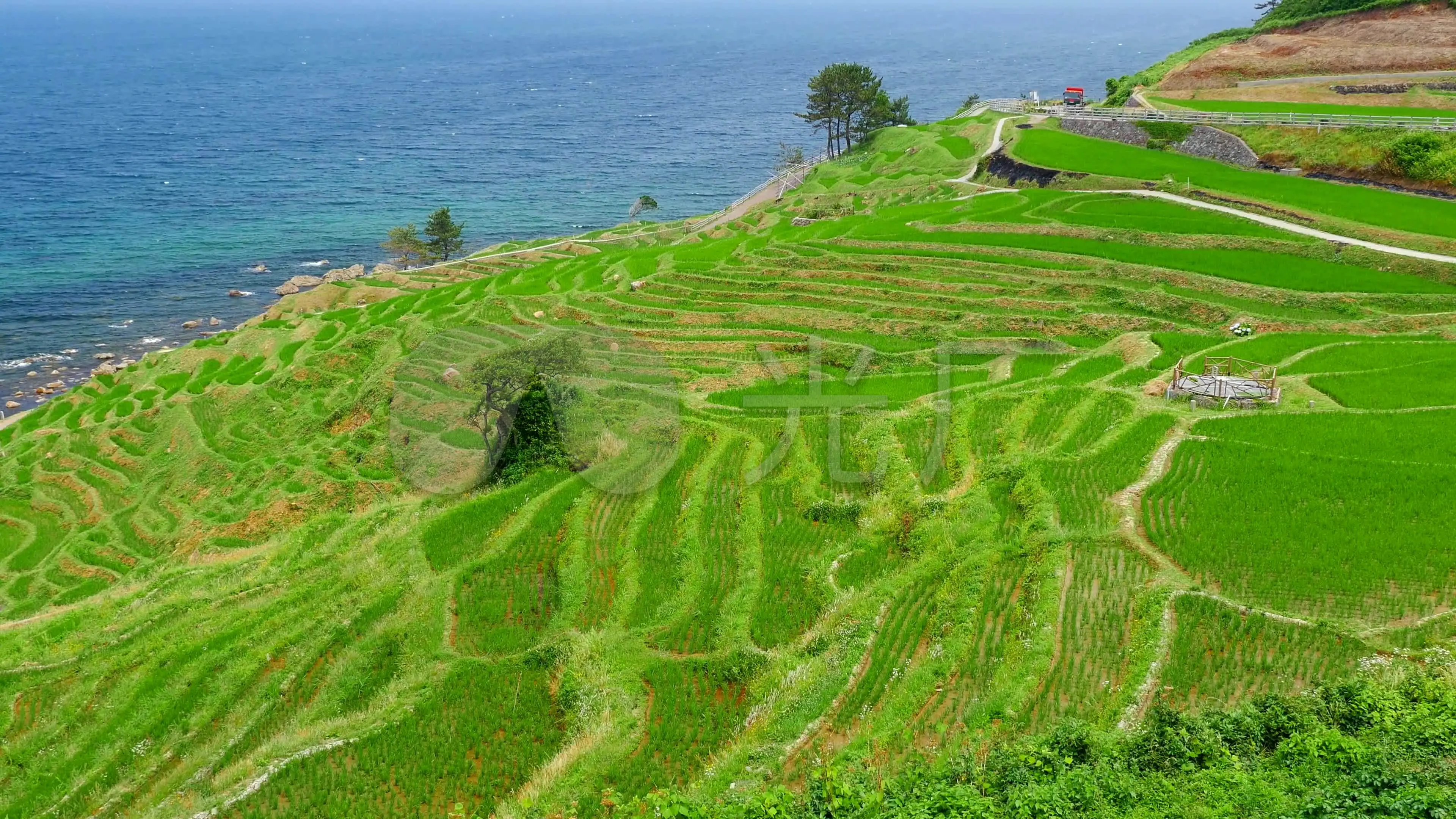 站坡_长沙地铁4号线桐梓坡站_地铁大营坡站是几号线