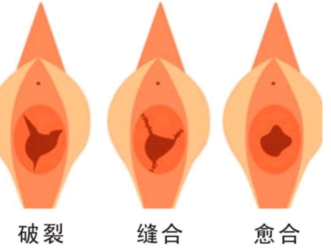 适合处女座玩的游戏有哪些_处女座的专属游戏_适合处女座的小游戏手机