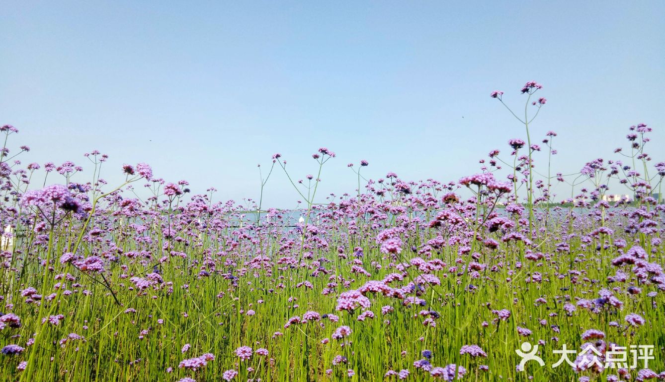 季春时节是什么意思_季节时令是什么意思_季春时节