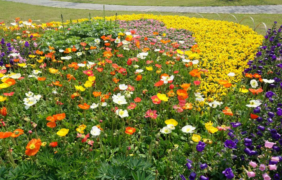 季节时令是什么意思_季春时节_季春时节是什么意思