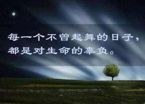 萨隆_萨隆矿坑_萨隆巴斯