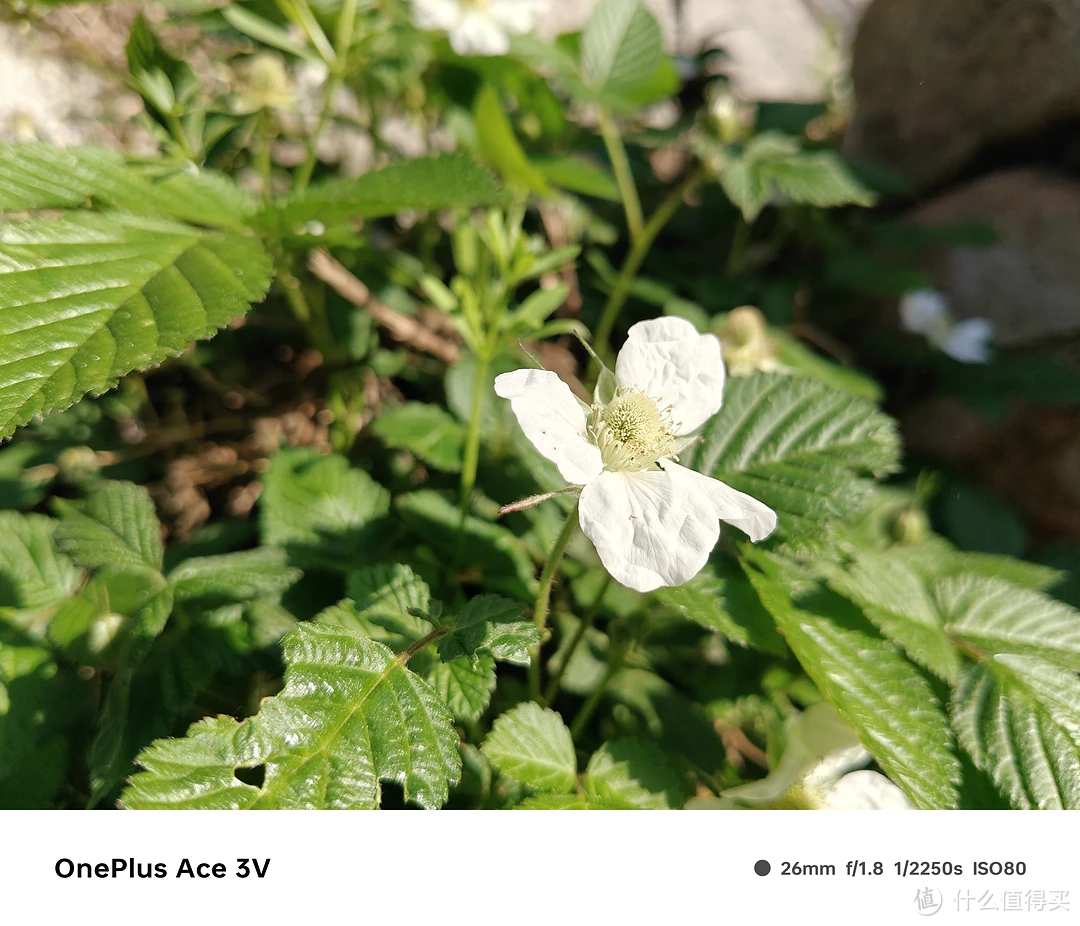 苹果手机7p玩游戏发热_iphone7玩游戏发热_苹果7打游戏发热