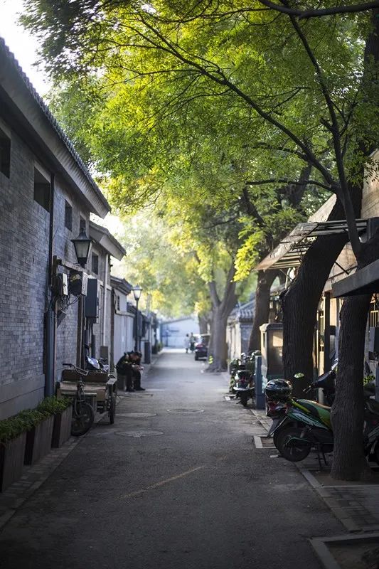 老北京网鞋价格及图片_老北京网_老北京网面鞋
