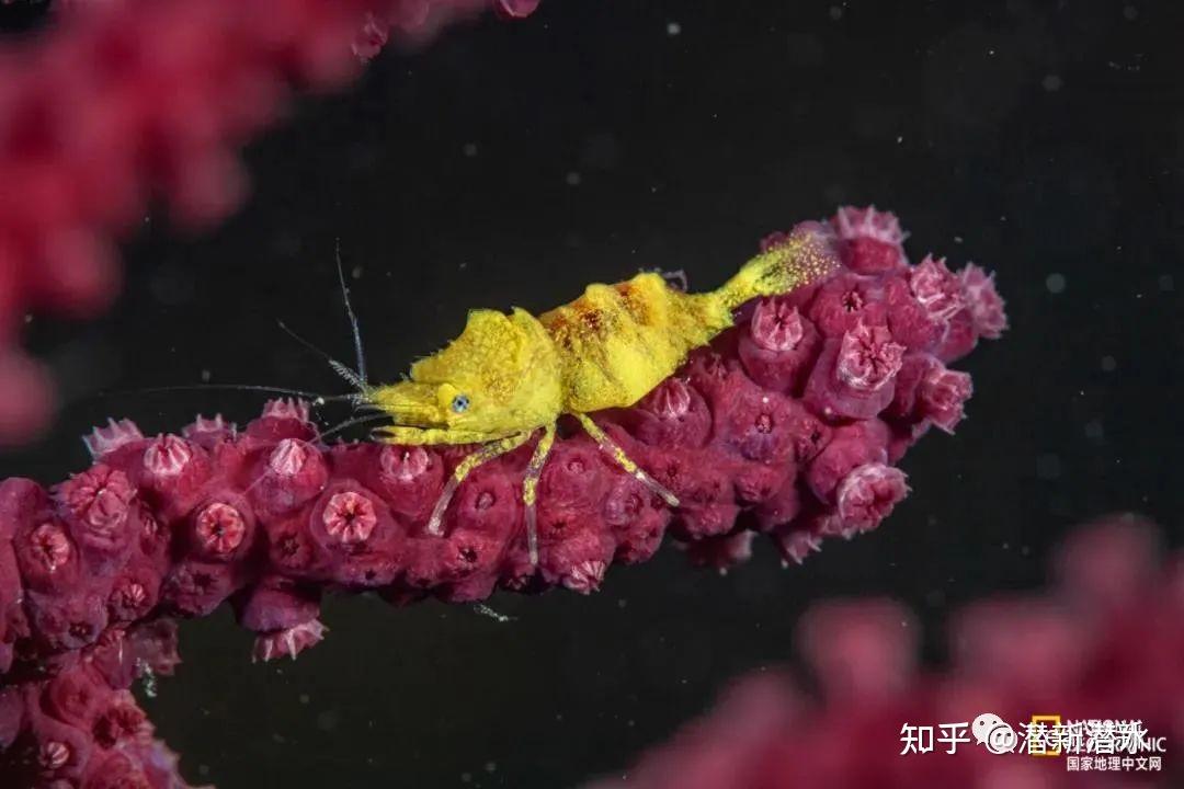 深海海域_帝王之术驭人之术_深海之驭海人
