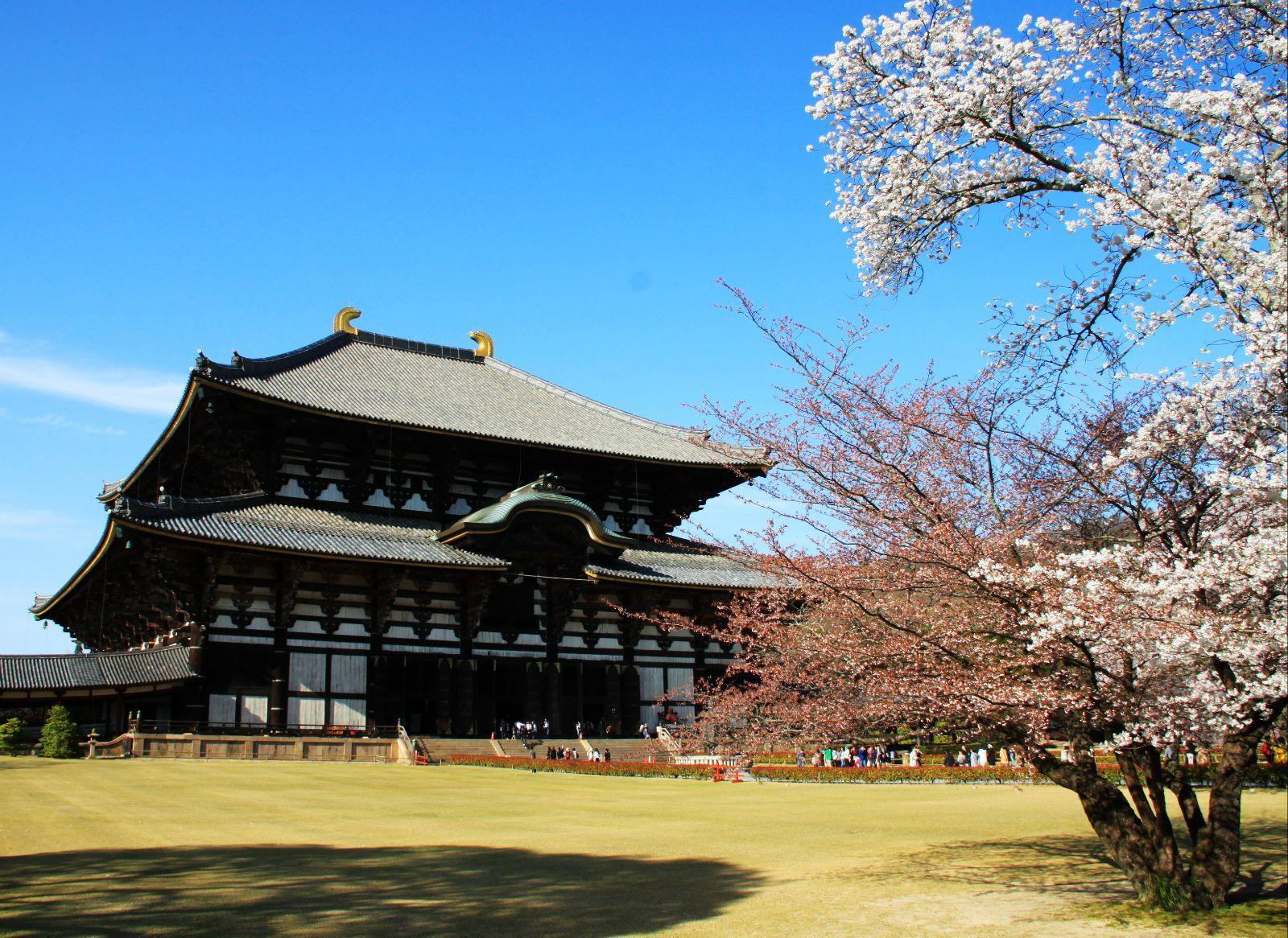 日系建筑游戏_日本游戏建房子_手机拍摄日本建筑的游戏