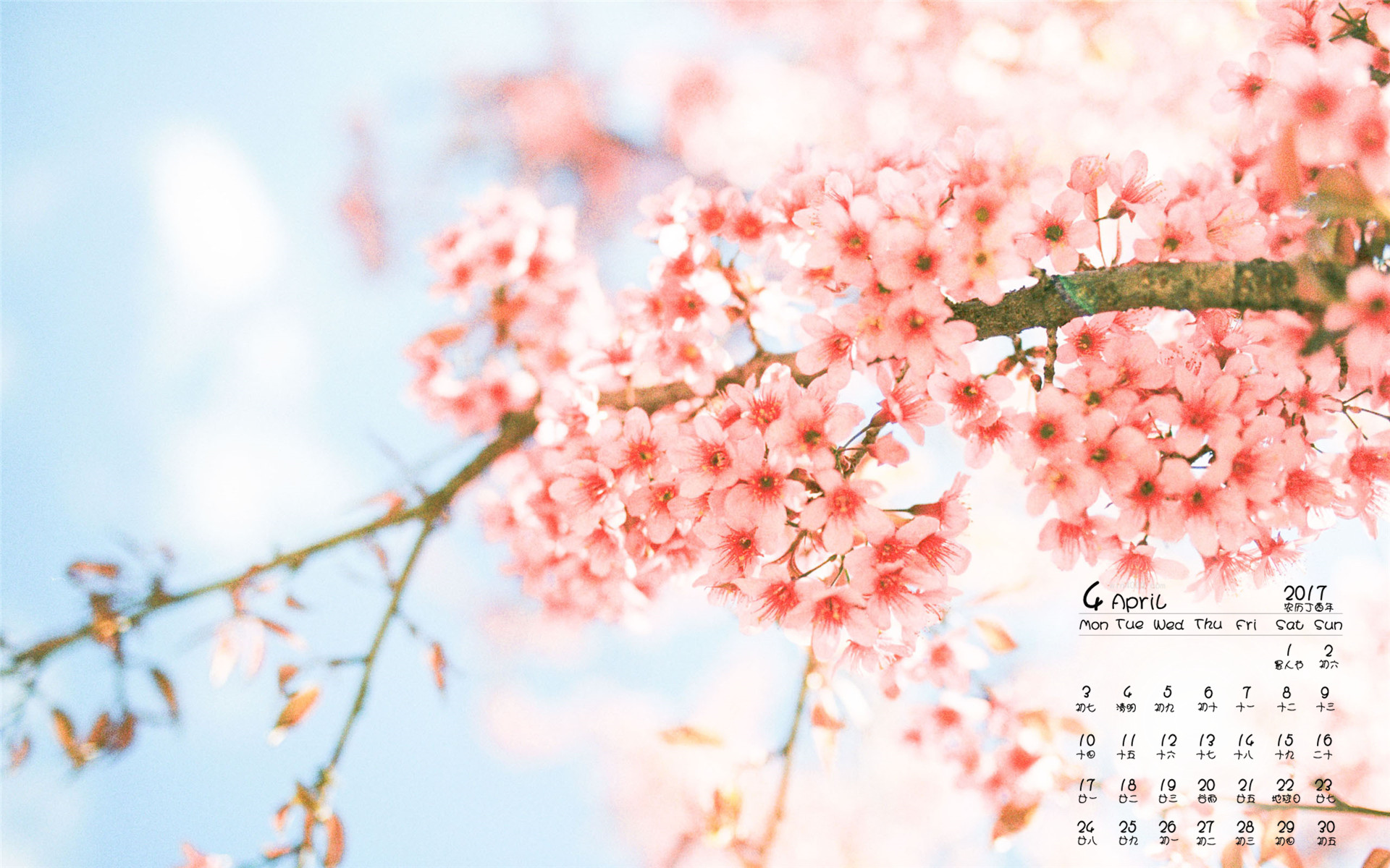 日历月份_4月日历_日历月历