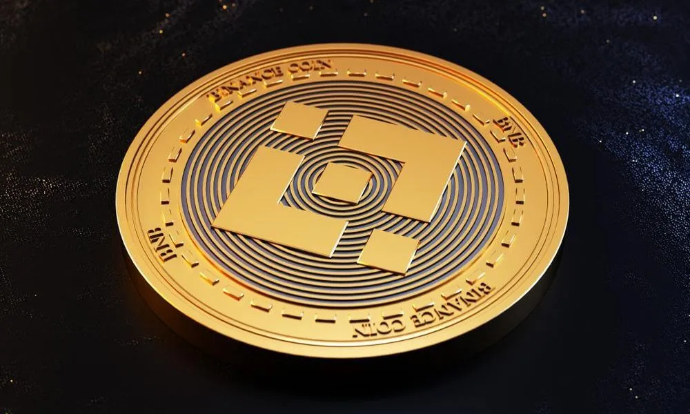 bnb是什么币?_最大面值的人民币是_什么是bnb