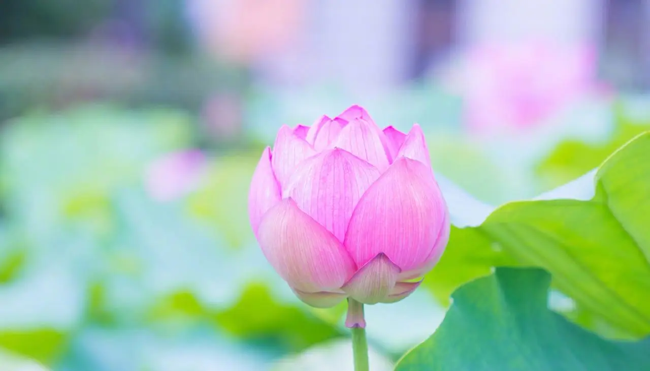 天意游戏公司_天意手机游戏官网_手机游戏天意