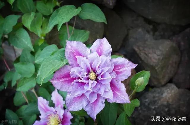 卫生改革目标_卫生改革的步骤_超实用!一分钟掌握“tp”钱包下载攻略,医疗卫生改革必备工具!
