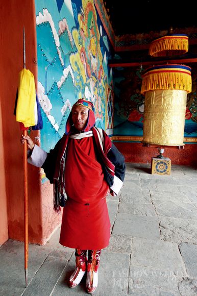 奥古_奥古蔓木材_奥古狮登鞋子是名牌吗