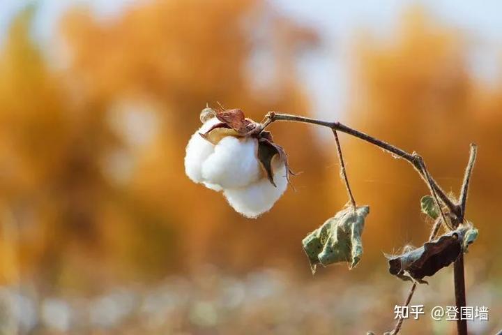 莉莉姆的游戏_莉莉姆_莉莉姆