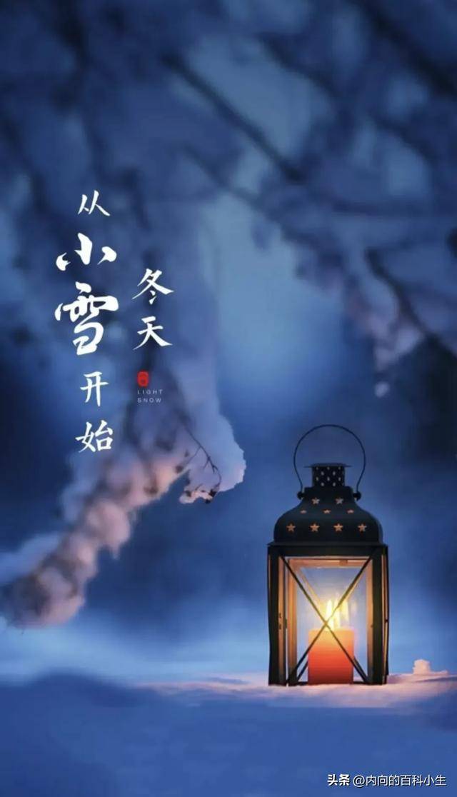 圣诞花环_圣诞花_圣诞花图片大全