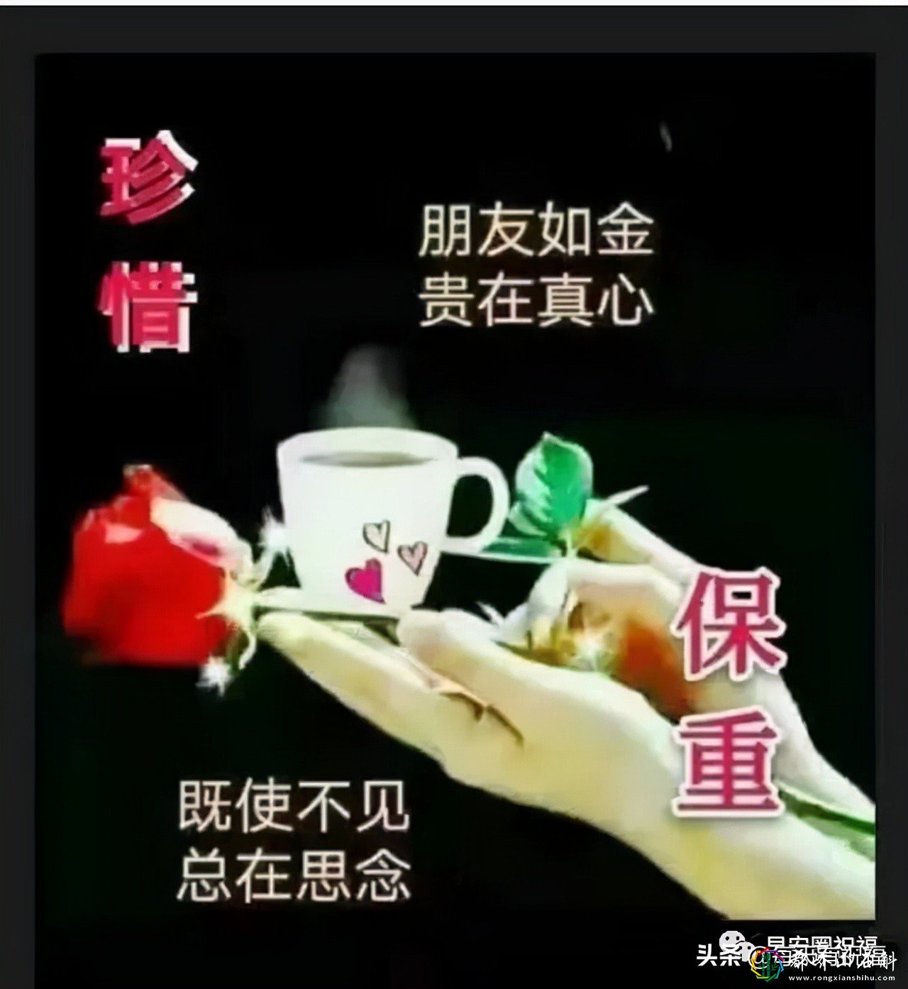 梁爽_梁爽怀柔_姜来梁爽