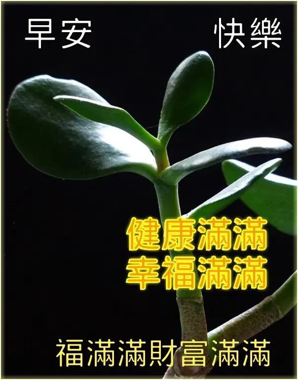 姜来梁爽_梁爽怀柔_梁爽