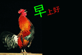 梁爽怀柔_姜来梁爽_梁爽