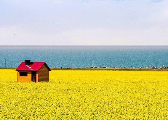 抓牛手机游戏叫什么_手机游戏抓牛_抓牛牛游戏