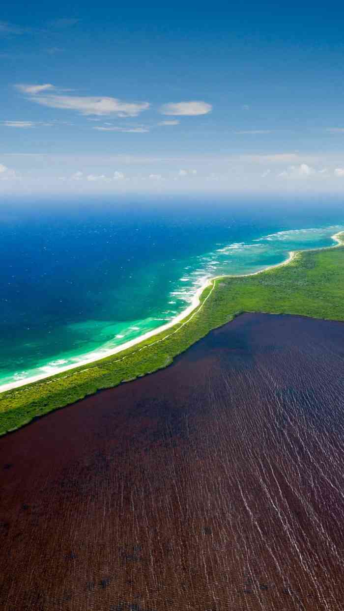 手机游戏抓牛_抓牛手机游戏叫什么_抓牛牛游戏