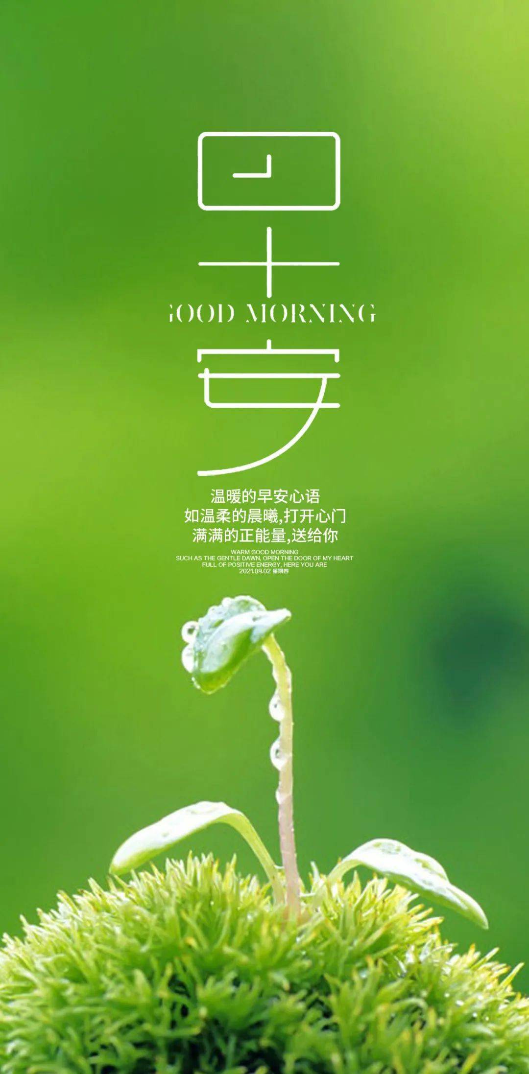 宝石学校在哪_宝石与艺术学院_宝石心学院