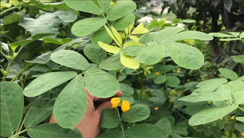手机游戏一直在加载中_手机游戏加载错误怎么解决_手机游戏老是加载中