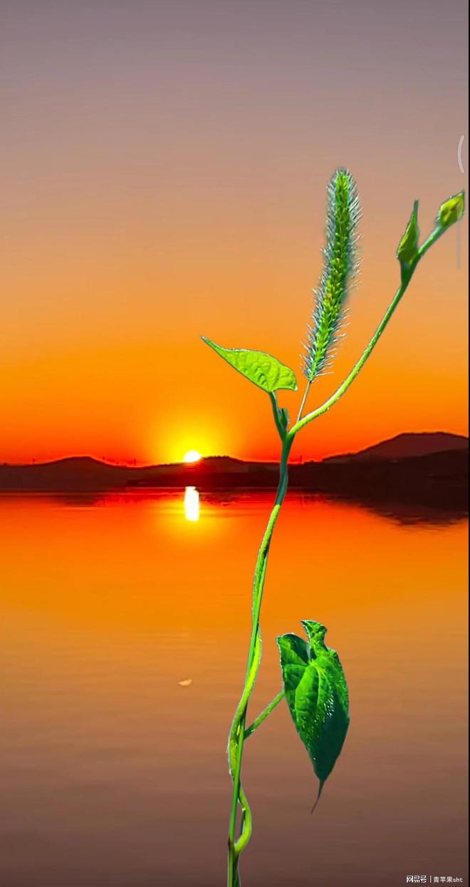 夏梦渚_夏梦渚_夏梦渚