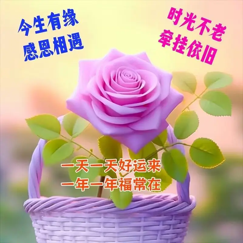 2014祝福语-2014 年祝福：愿你心情如阳光，事业如春花，生活满欢笑
