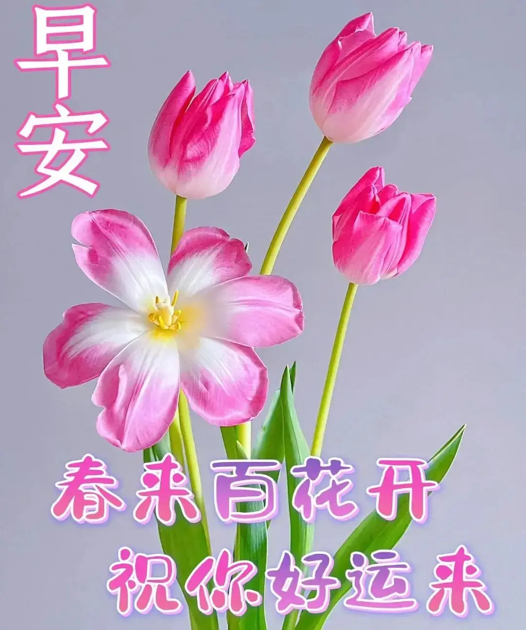 2014祝福语_医师节短语祝福_生日词语祝福