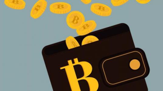 tokenpackage钱包_tokenpocket钱包特点_钱包token哪个平台好