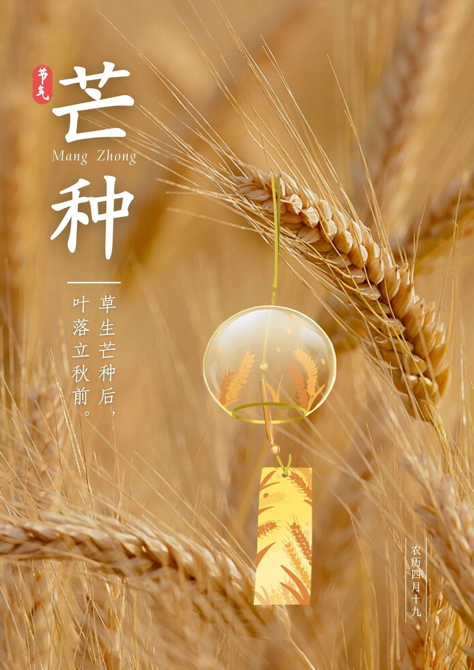 芒种的著名诗句-芒种：忙碌与希望的季节，充满生机与敬畏的自然之歌