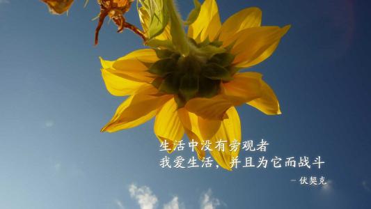 2022年里_里年闪_里年什么意思
