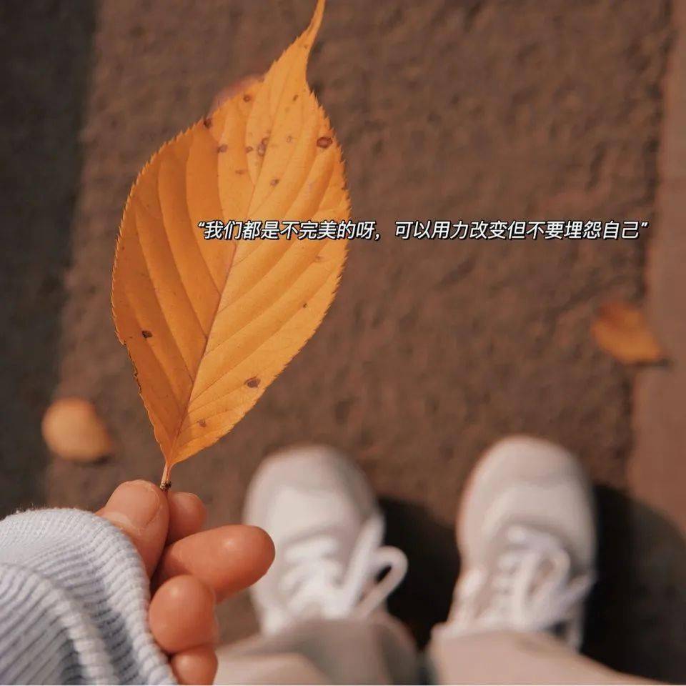 里年什么意思_里年闪_2022年里