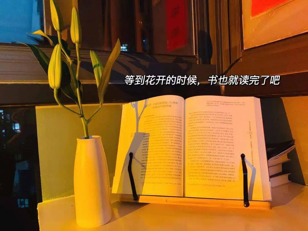 里年闪_里年什么意思_2022年里