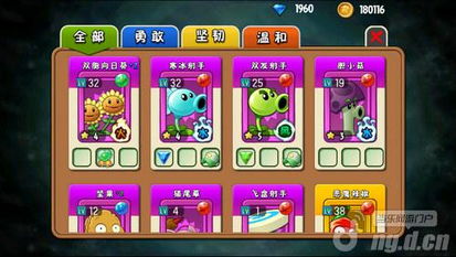 植物大战僵尸全明星正版 